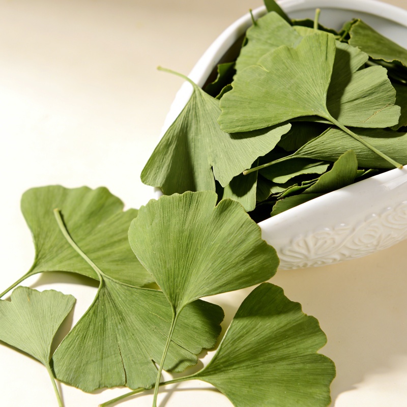 Daun Ginkgo Biloba Kering Berk - Home Fragrance Candles ulasan dan harga