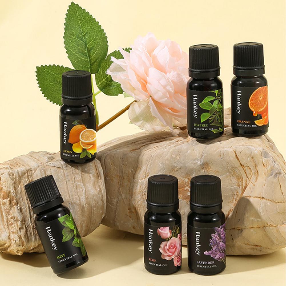 Set Minyak Esensial Tanaman Al - Home Fragrance Aroma Set ulasan dan harga